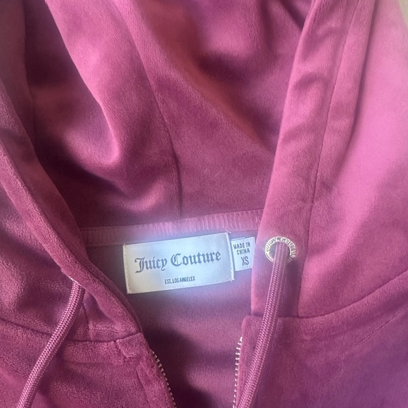 ICONS CLASSIC COTTON VELOUR HOODIE in color WINE - Picture 3 of 3